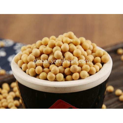 Organic Soybeans Soybean Gluten Free Factory